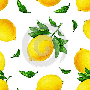 Yellow lemon fruits on a branch with green leaves isolated on white background. Water color drawing seamless pattern for design.