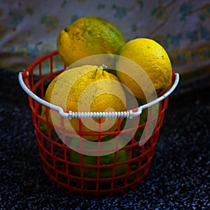 Yellow lemon fruits in a red plastic basket Kfar Glikson Israel