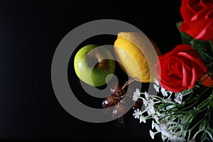 Yellow lemon, green apple, grapes and roses decoration on black background