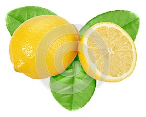 Yellow lemon with green leaf
