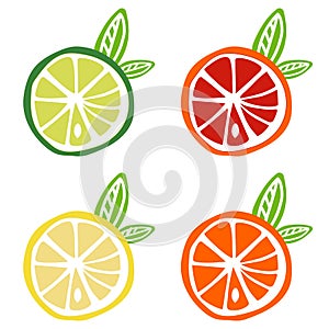 Yellow lemon green lime orange red grapefruit icon fruit citrus