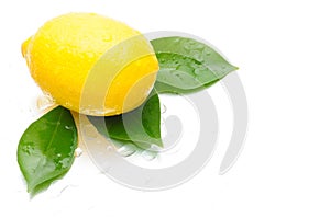 Yellow Lemon, health fruit, object, green leaf, drop