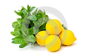 Yellow lemons and a bunch of fresh green mint