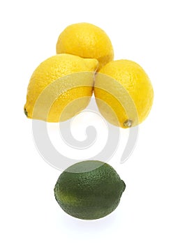 Yellow Lemons, citrus limonum and Green Lemon, citrus aurantifolia against White Background