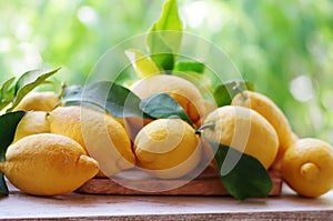 Yellow lemons with leaves on table