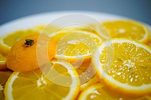 yellow lemons on a plate on a sunny day photo