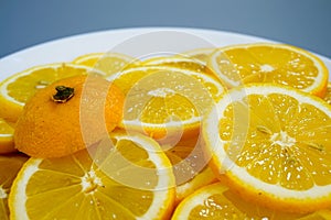 yellow lemons on a plate on a sunny day photo