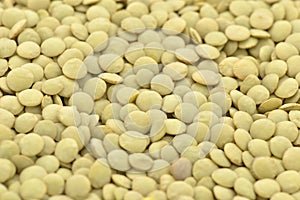Yellow lentils grain