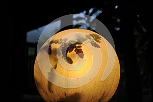 Yellow light round lamp with leaves shades and shadows at dusk