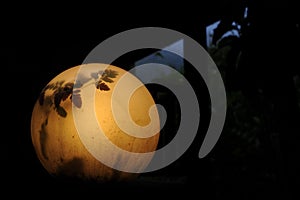 Yellow light round lamp with leaves shades and shadows at dusk