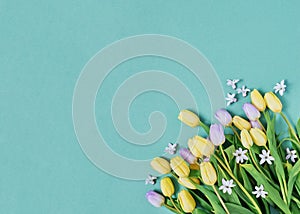Yellow and lilac tulip flowers on light aqua background. Holiday, greetings, love, romantic, spring concept. Flat lay, top view