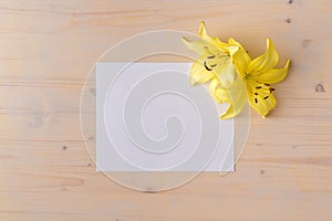 Yellow lilies flowers on white wood background with copy space