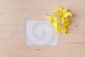 Yellow lilies flowers on white wood background with copy space