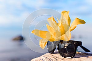 Yellow lily and glasses