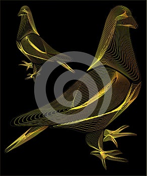 à¹Yellow Line Abstract Pigeon Bird Nature Pattern
