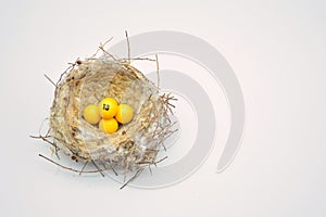 Lottery balls in a nest photo