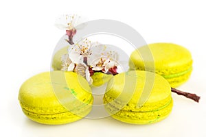 Yellow macaroons isolated on white, selective focus