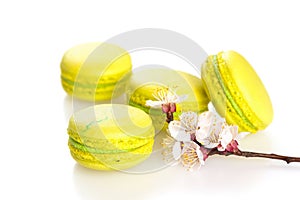 Yellow macaroons isolated on white, selective focus