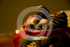 Yellow macro red cone acorn