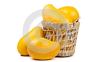 Yellow mango in basket