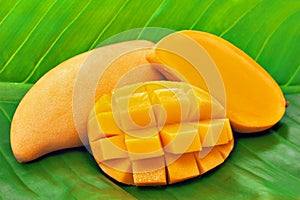 Yellow mango on the green banana leaf