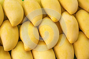 Yellow Mango on market