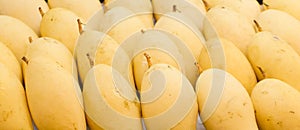 Yellow Mango in Market