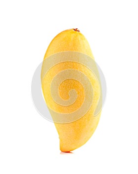 Yellow mango ,thai fruit favorite isolated on a white background