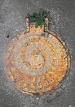 Yellow manhole