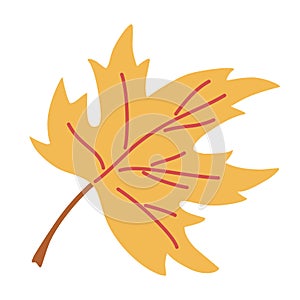 Yellow Maple leaf. Colorful autumn leaf. For the design of greeting cards, holiday banners, and posters. Vector illustration
