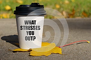 On a yellow maple leaf there is a cup of coffee on which is written - What stresses you out