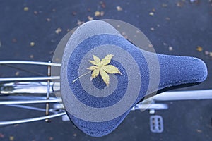 A yellow maple leave on frozen bicycle seat during Autumn