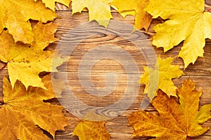 Yellow maple leaves frame background. Autumn seasonal concept.