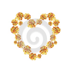 Yellow marigold chrysanthemum petunia calendula rose flower background heart wreath frame in watercolor drawing.