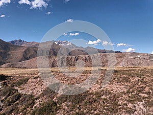 yellow meadow with distant snowy and blue sky photo