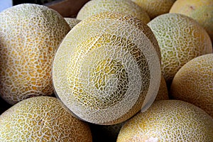 Yellow melon