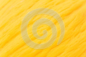 Yellow melon background