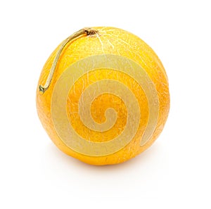 Yellow melon fruit
