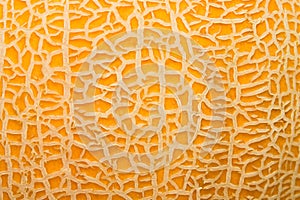 Yellow melon fruit surface