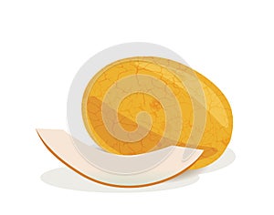 Yellow Melon fruit