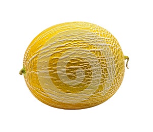 Yellow Melon Isolated on Transparent Background