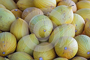 Yellow melons background