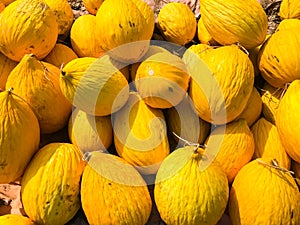 Melons at street bazaar