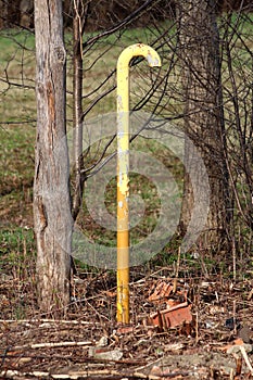 Yellow metal candy cane shaped vent relief pipe with cracked paint sticking out of ground surrounded with garbage and tall trees