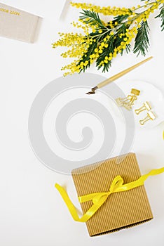 Yellow mimosa flower, gift box with bow stationery and pen for calligraphy with notebooks on white background with copy space