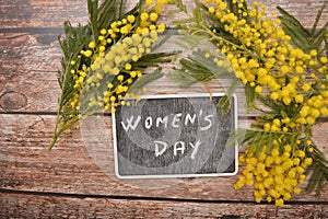 Yellow mimosa flower for woman day festivity 8th march