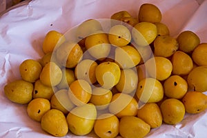 Yellow mirabelle plums ciruelitas called in Peru aligned in circle on a market in Arequipa, Peru