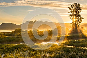 Yellow Misty Landscape with Mountains