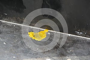 Yellow and molten aluminum candle photo