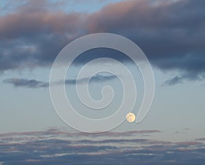 Yellow moon on the evening sky